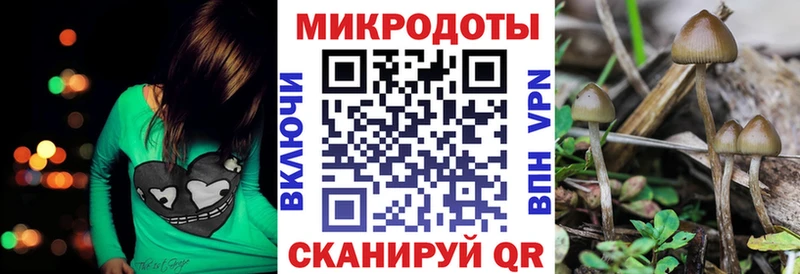 Псилоцибиновые грибы Psilocybine cubensis Кущёвская